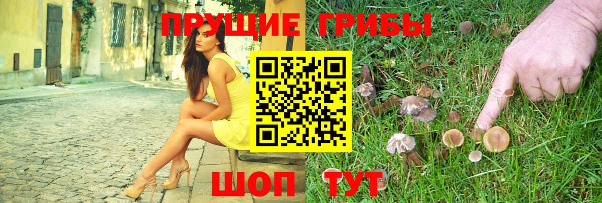 Галлюциногенные грибы Psilocybe  Галлюциногенные грибы Psilocybine cubensis  Вход с VPN  Орёл 